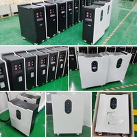 Batería Híbrida de Almacenamiento de Energía Todo en Uno LiFePO4 de 51.2V, Comunicación CAN, Energía Solar para el Hogar, Garantía de 8 Años