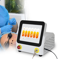 Machine de liposuccion de lipolyse laser à diode 2025 Offre Spéciale 980nm enlever les sacs malaires et le levage du visage Endolaser
