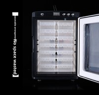 Boîte d'incubation rectangulaire en plastique pour reptiles (tortues, geckos, lézards, caméléons) - Incubateur d'œufs et plateau d'élevage