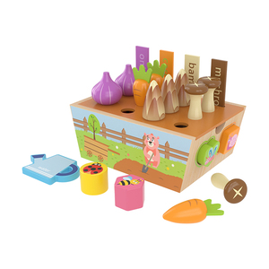 Ensemble de légumes coloré pour enfants, jouets en bois, Roses de jardin, fleurs, meilleur cadeau, pièces - Product Image 2