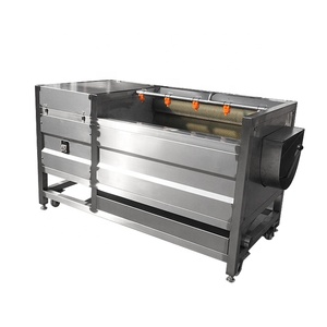 Máquina Profesional para Limpiar Raíces, Verduras y Jengibre - Product Image 1
