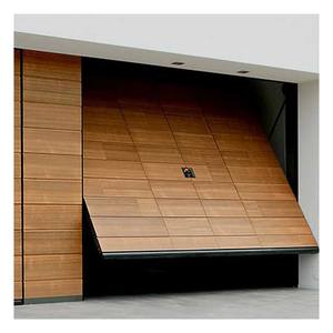 Les portes <span class=keywords><strong>de</strong></span> <span class=keywords><strong>garage</strong></span> en acier monobloc <span class=keywords><strong>de</strong></span> panneau <span class=keywords><strong>de</strong></span> style moderne ont automatisé la surface finie sectionnelle aérienne <span class=keywords><strong>de</strong></span> levage - Product Image 3