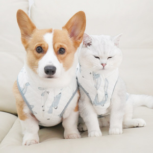 Chaleco para Gato de Algodón Puro Antidesprendimiento, Ropa para Mascotas para Todas las Estaciones, Estilo Conejito con Rayas Verdes - Product Image 4