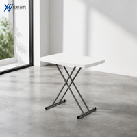 Table pliante portable personnalisée, robuste, avec plateau en plastique blanc, pour le camping, les banquets, l'intérieur et l'usage quotidien