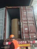 Papier vitrage émaillé de haute qualité 20-50gsm bobine ou feuilles bas prix d'usine en Chine