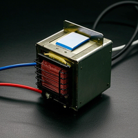 Transformateur à filament haute puissance 350W, transformateur de puissance pour l'électronique 60Hz