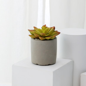Caliente de <span class=keywords><strong>la</strong></span> venta de productos de interior decorativo artificial plantas suculentas <span class=keywords><strong>en</strong></span> cemento gris flor olla para casa - Product Image 3