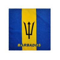 Usine de promotionnel personnalisé coton sérigraphié drapeau Bandana Haïti drapeau Bandana