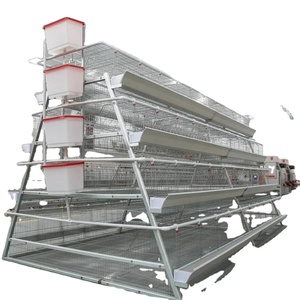 <span class=keywords><strong>Cage</strong></span> d'élevage de volailles de type 3 à 96 niveaux pour 96 oiseaux - Product Image 1