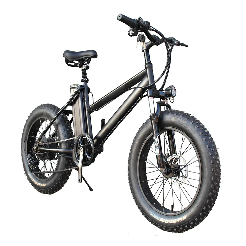 Newest winter electric mountain bike Directly from Factory fat tire snow bike 20" 36V 250W 10AH Snow design For adult