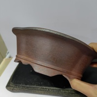 Pot à bonsaï en forme de prune, classique, sculpté à la main, écologique, best-seller, pour la maison et le jardin