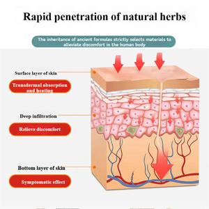 도매 OEM 에르미 열 패치 관절 통증 완화 패치 진통제 근육 손상 복구 관절 보호 몸 목 등 손 허리 보호 - Product Image 6