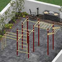 Equipo de Gimnasio de Acero para Exteriores para Adultos, para Entrenamiento en el Patio Trasero, Calle y Parque