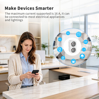 Pilihan Premium Standar EU Stopkontak Pintar Ganda 16A WiFi Tuya Smart Life Pengukur Daya 3680W untuk Penggunaan Apartemen