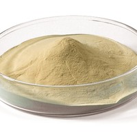 Poudre de levure sèche active alimentation de poulet nutritionnelle
