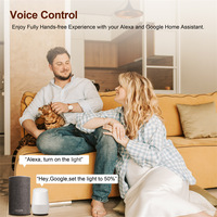 Módulo de interruptor de atenuación WiFi SLS Tuya, relé de 2 vías, sistema de automatización del hogar inteligente Compatible con Alexa Google Assistant 16A Max