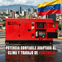 Groupe électrogène diesel robuste Weichai Ricardo 100 Kva 100 kw 150 Kva de marque américaine pour le Venezuela