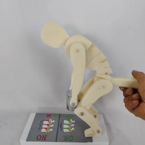 PVC mô hình giảng dạy y tế của cột sống chấp nhận khi nâng vật nặng với khung cơ sở - Product Image 2