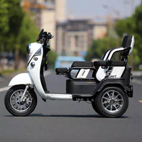 Venta caliente Triciclos eléctricos baratos Estilo abierto Tres ruedas E Bicicleta Familia y niños E Bike para la venta
