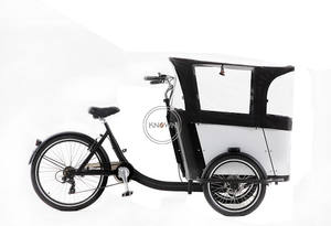 Tricycle électrique à trois roues à chargement frontal, nouveau modèle OEM, pour adultes, avec caisse en bois, <span class=keywords><strong>remorque</strong></span> de transport pour vélo électrique - Product Image 5