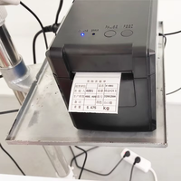 Balance à rouleaux de convoyeur de haute qualité de 300kg en acier inoxydable avec indicateur LCD et peseuse de contrôle d'imprimante