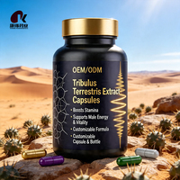 Extrait de Tribulus Terrestris en capsules dures OEM ODM, marque privée, en vrac, complément nutritionnel pour soutenir l'énergie masculine