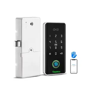 TTlock App Smart Keyless Biometrischer Finger abdruck RFID-Karten tastatur Digital Locker Cabinet Drawer Türschloss für Fitnessraum Fitnessraum