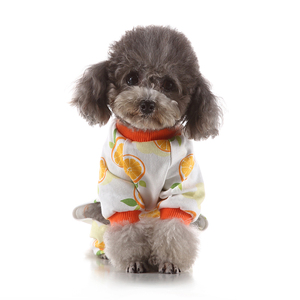 Vente chaude été/printemps Polyester et coton vêtements pour animaux <span class=keywords><strong>de</strong></span> compagnie pour petites races correspondant propriétaire et <span class=keywords><strong>chien</strong></span> vêtements doux et <span class=keywords><strong>pas</strong></span> <span class=keywords><strong>cher</strong></span> - Product Image 3