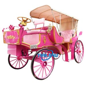 Diskon kereta kuda wisata Cinderella kualitas tinggi kereta tamasya pernikahan elektrik 2 baris mewah klasik - Product Image 1