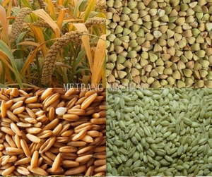 เครื่องย่างฟืนสำหรับใช้ในครัวเรือนกระทะเหล็กสแตนเลส304 MB - Product Image 4