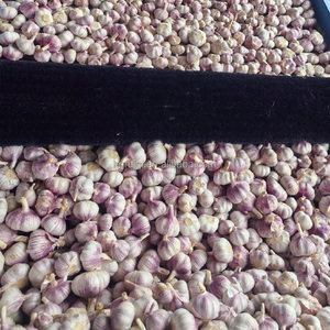 Hot Bán Bán Buôn Giá Rẻ Trung Quốc Xuất Khẩu 5Cm 5.5Cm 6Cm Tươi Tinh Khiết Trắng Khô Tỏi - Product Image 3