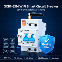 Interruptor Inteligente WiFi GXB1-125 con Antena Externa, Interruptor Todo en Uno para Control de Energía en Hogares Inteligentes y Comercios
