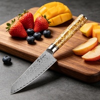 Couteau de chef en acier Damas à 67 couches VG10, couteau Gyuto japonais ultra-affûté pour la découpe du thon et des sashimis, usage culinaire