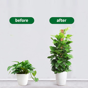 Support de plante en mousse flexible recouvert de plastique pour jardin, bâton de mousse pour tomates, piquet de soutien pour plantes, mousse pliable pour plantes Monstera, serre - Product Image 3