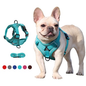 QUCHONPET Producto para <span class=keywords><strong>Perro</strong></span> <span class=keywords><strong>Chaleco</strong></span> Transpirable Reflectante, Juego de Arnés y Correa, Arnés Tipo <span class=keywords><strong>Chaleco</strong></span> de Malla Reflectante sin Tirones - Product Image 1