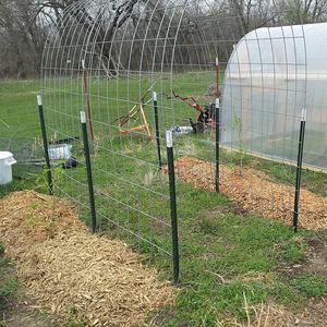 Tiang Pagar Baja Galvanis Celup Panas Berkualitas Terbaik 6 kaki 1.25lb/kaki, Tugas Berat untuk Pagar Kambing, Dilapisi Cat Anti Air - Product Image 3