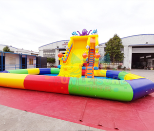 Thương Mại Trẻ Em Giải Trí Nhảy Waterslide Thoát Nhà Chateux Gonflables Inflatables Trượt Nước Với Hồ Bơi - Product Image 2