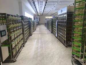 Laboratoire de haute qualité Cage ventilée individuelle Lab Ivc pour rongeur cobaye lapin - Product Image 6