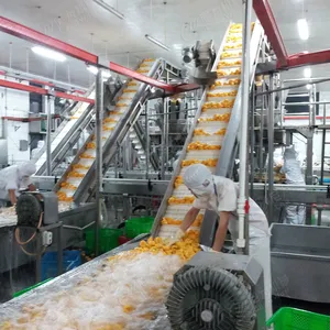 Leadworld Machinery Factory Supply Industrial Guava Citrus Fruit Brush Ozone Disinfecting Bubble Washing Production Line