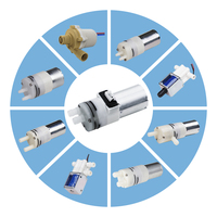 Pompe à eau 24V DC à livraison rapide avec débitmètre, fonctionnement stable, longue durée de vie pour robot de nettoyage de vitres intelligent et distributeur d'eau