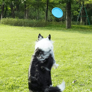 Vente en gros de jouet à mâcher écologique durable EVA Flyer pour chien jouet à disque volant avec logo personnalisé pour jouer de manière interactive avec des animaux de compagnie - Product Image 3