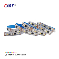Bande lumineuse LED adressable 12mm SMD 5050 RGBCCT-IC DC12/24V IP20 WS2811 à effet cascade pour éclairage paysager