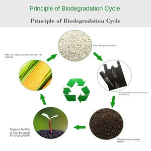 Sacchetti Biodegradabili per la Spesa all'Ingrosso, Borse per Asporto Frutta, Sacchetti a Gilet in PBAT PLA Personalizzabili - Product Image 4