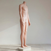 Peau de Mannequin pour hommes, brésilien, grande taille, 2019