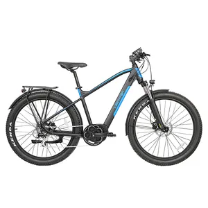 EU standard mountain electric bicycle e bike 250w front suspension e-bike and aluminum frame electric bike kit Ebike