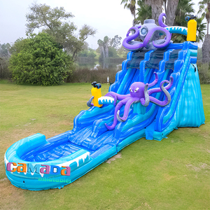 Toboggan aquatique gonflable commercial économique, grand modèle Poulpe, double piste <span class=keywords><strong>avec</strong></span> <span class=keywords><strong>piscine</strong></span>, pour adultes et enfants, pour le jeu estival - Product Image 2