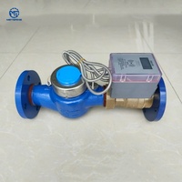 Durable Stainless Steel & Brass Water Meter with Digital Display OEM Support for Agricultural Irrigation Farm Water Measurement