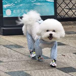 Pet Cat <span class=keywords><strong>Dog</strong></span> Outdoor Walking Dustproof Calças Pequeno Cão Teddy Bichon Anti-Sujeira Calças Bichon Teddy <span class=keywords><strong>Dog</strong></span> Leg Covers - Product Image 4