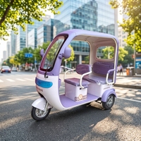 Tricycle électrique à 3 roues bleu ciel avec moteur 650W, 60V 800W, 2 rangées de sièges, étanche, batterie au plomb 60V 20Ah