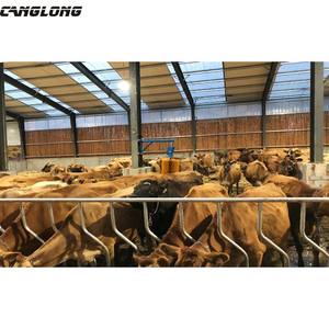 Cobertizo de vaca con estructura de acero ligero, fácil instalación - Product Image 2